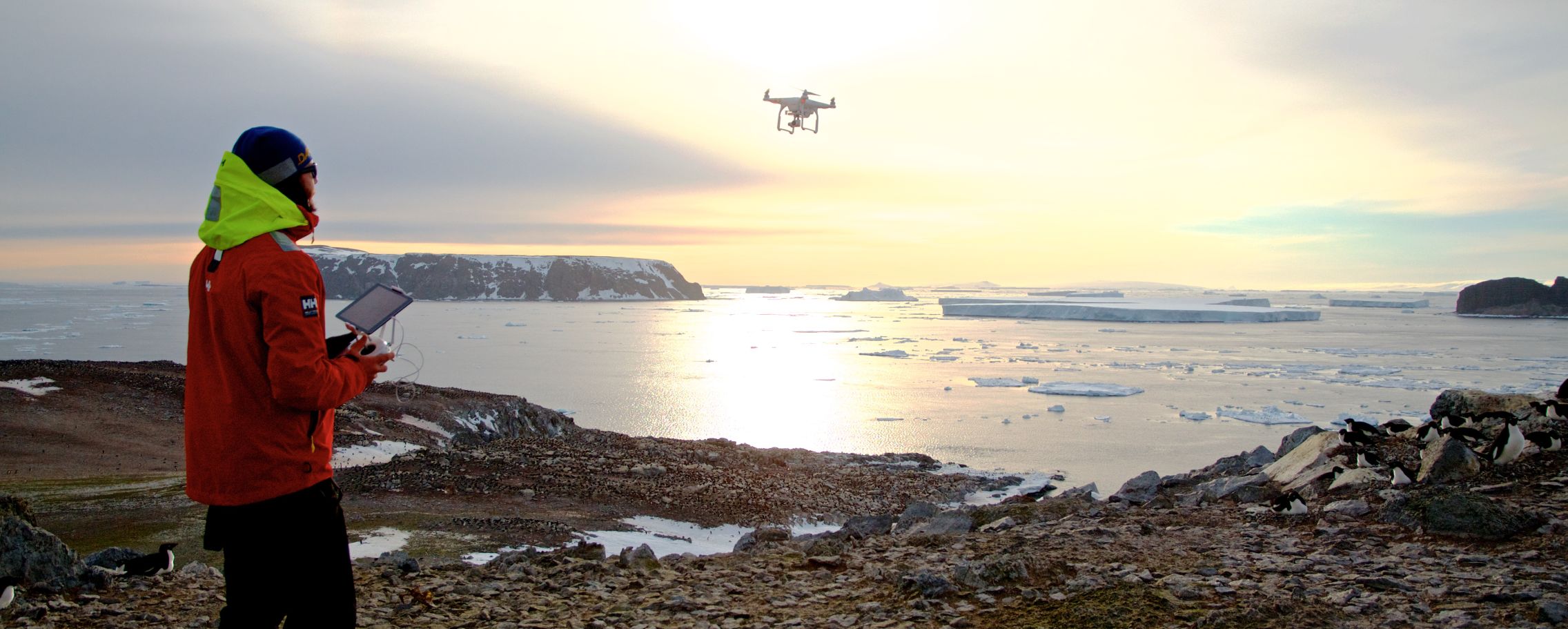Danger Islands Expedition Image (11).jpg
